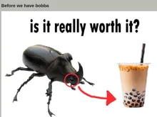A screenshot of a website