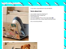 A screenshot of a website